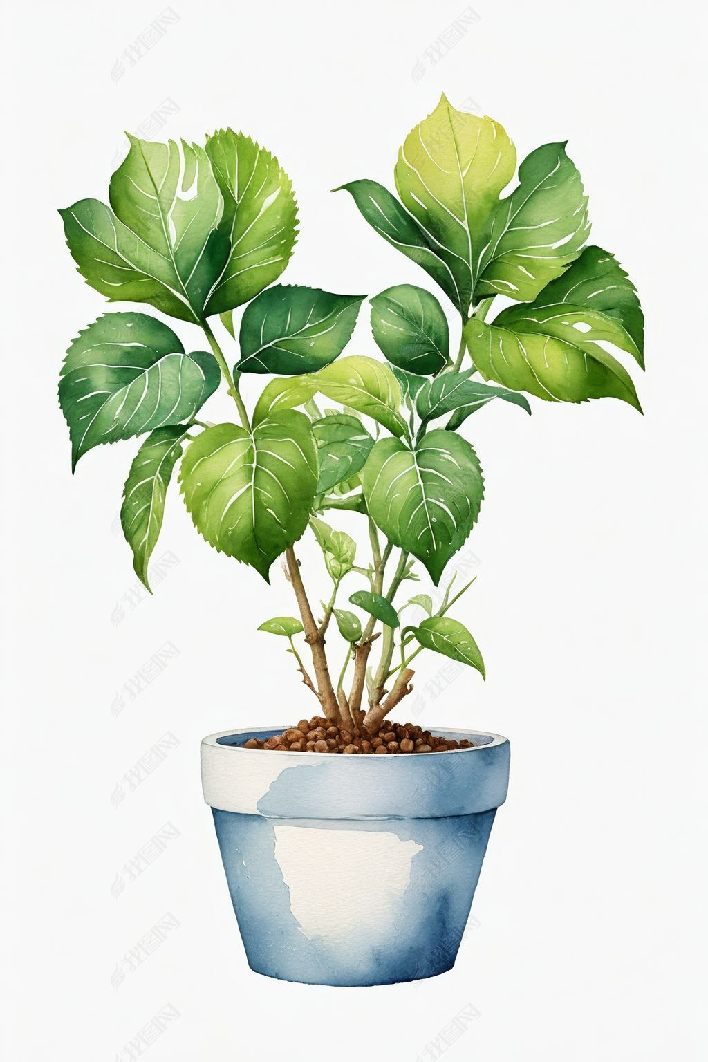 原创手绘水彩绿植盆栽设计素材插画图片