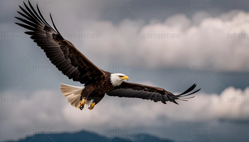 ��ӥ���ӥ�����ӥӥ