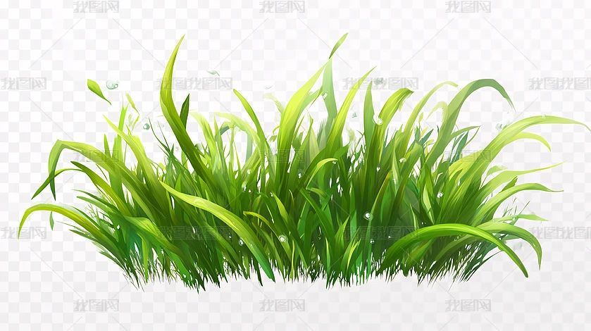 小草同学素材下载网站_小草学堂 小草同学素材下载网站_小草学堂