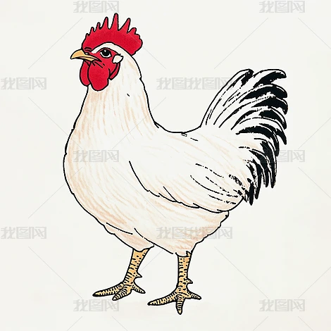 ��ͨ�ֻ湫��