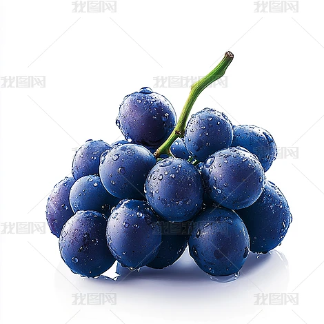 ��ͨ�ֻ���������