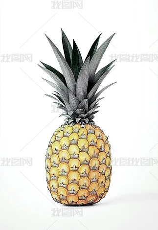 ��ͨ�ֻ沤��