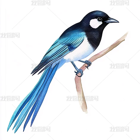 ϲȵ��ͨ�ֻ���ȵ