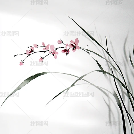 ���ŵ�����