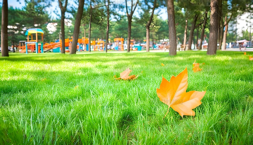 ����֮ҹ����ĵ�·�������������Ҷ��������