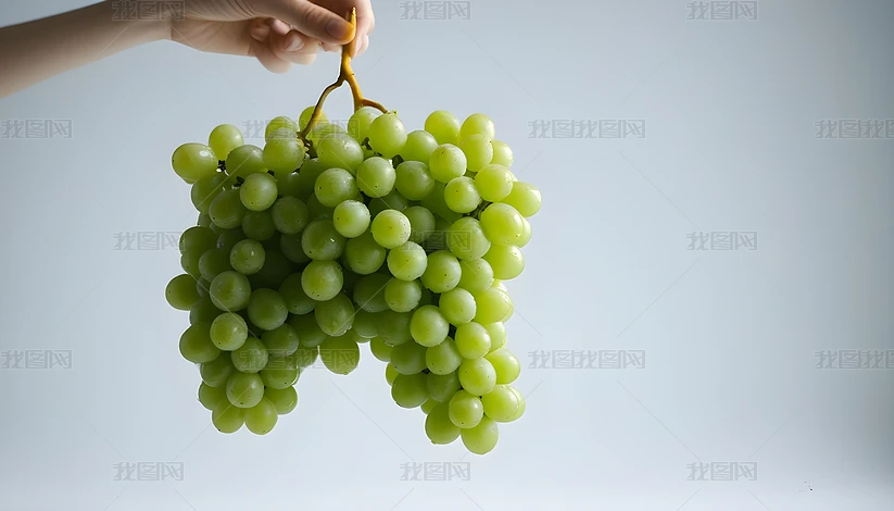 ������������������չʾ�ǳ��ʺ���ƺ�ũҵ���