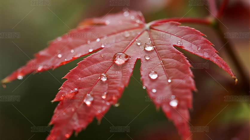 ��¶��ֽ������Ҷ���������Ȼ����