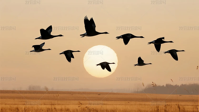 ����ڴ����Ϸ������;�ŶӺ�������ͼ