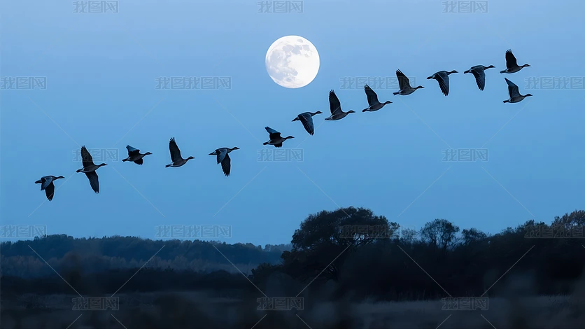 ����ڴ�����ҹ����˼����Բ�⾳����