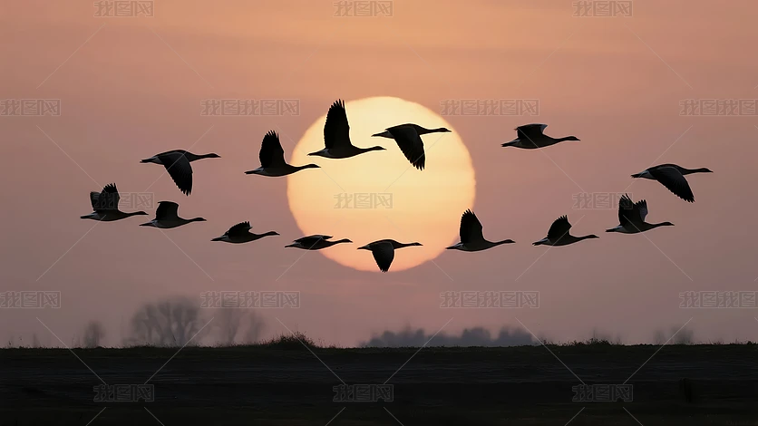 ����ڴ��������;�ŶӾ�����־����ͼ