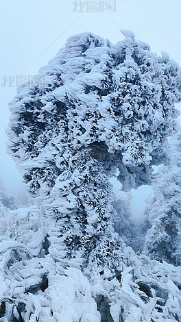 պϺɽL(fng)^(q)FڡzӰD