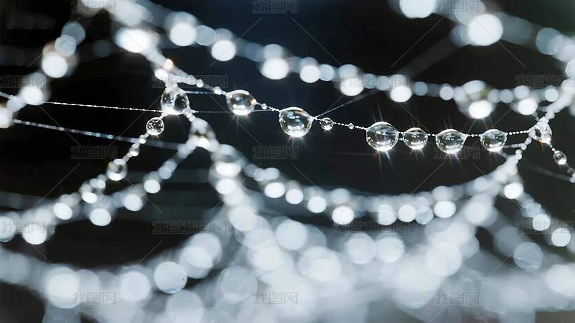 �������֩����¶�鴮������Ƽ��б���