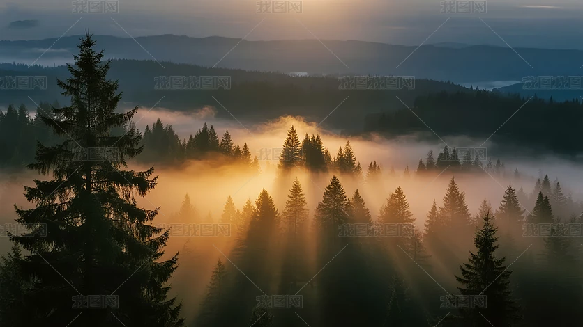 ��������峿ɭ�����⴩͸ϣ����־����