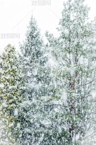 油画雪景图片大全-油画雪景背景图片-我图网