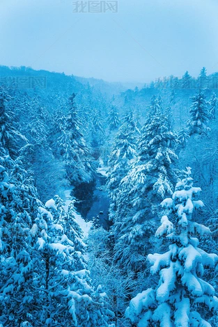 ѩɼϪϿɴĹƬͼƬز