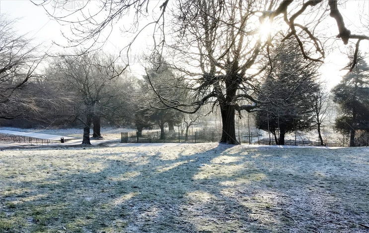 ˪Ӱ԰ůⶬ԰ƬͼƬز