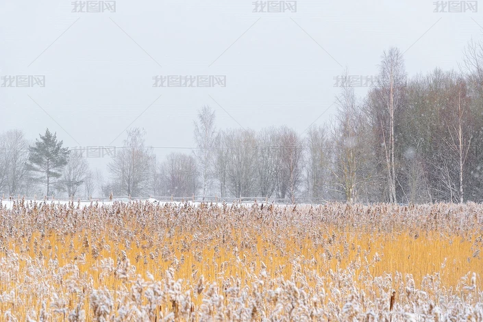 ˪ѩέԶůǳƬͼƬز