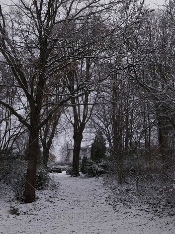 ѩָѩ֦У԰׾ƬͼƬز