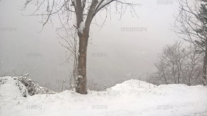 ѩ̺ɴԶֻɶŵƬͼƬز