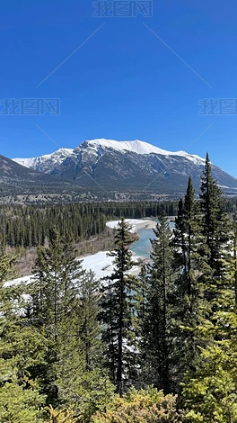 ѩɽ�µ�ɭ�ֺ��������Ƭ����ͼƬ�ز�