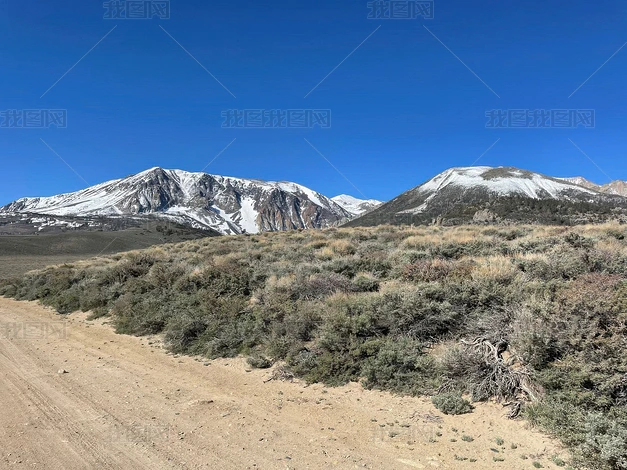 ѩɽ�µĻ�Ұ��·��Ƭ����ͼƬ�ز�