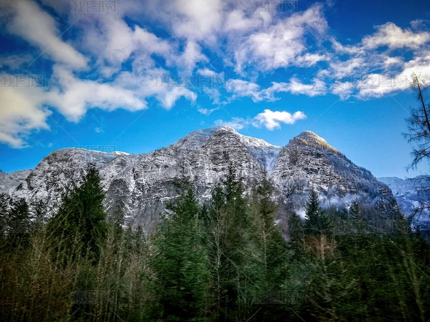 ѩɽɭ����Ȼ�����Ƭ����ͼƬ�ز�