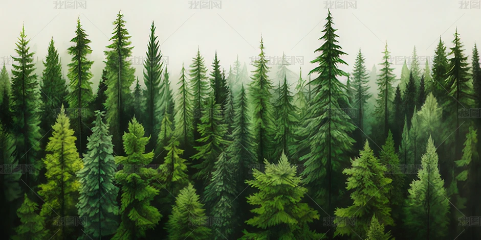 ɭ�ֵض���ľ��ɫ����������ղ������������