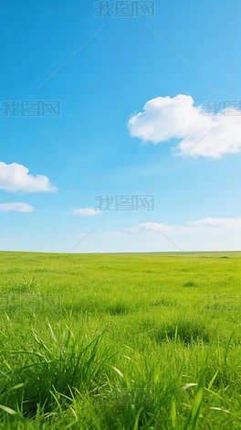 ��ͨˮī�ʻ�ʢ����ɫ�廭ͼ���廭