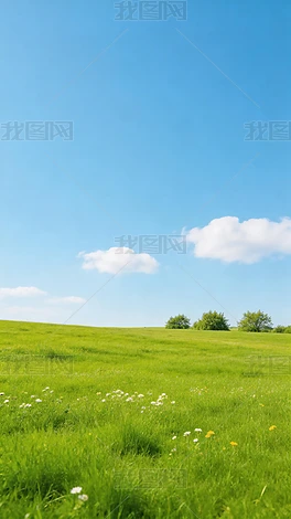 ��Ȼ��⿨ͨˮī�ʻ�ʢ����ɫ�廭�����廭