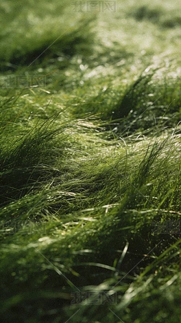 �̵���ʵ���쳡����Ȼ��Ӱ�����Ӿ�������ԭ