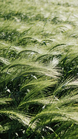 ��ʵ���쳡��������Ӱͼ���Ӿ���԰����