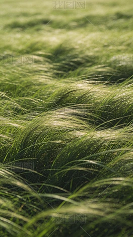 ��ʵ��ɫ����������Ӱ���������ݵر���