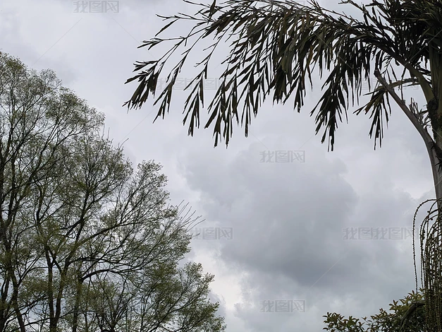 ֲ����Ȼ�羰����ʵ���ز�