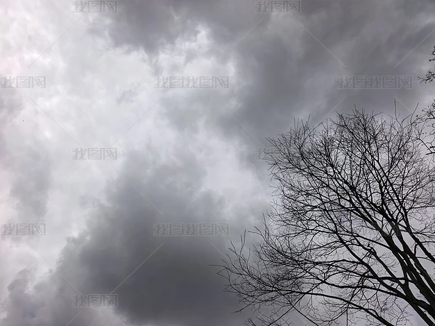 ֲ����Ȼ�羰������д�ϼ�