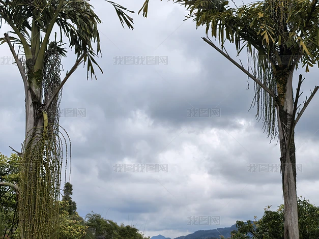 ֲ����Ȼ�羰������д�ϼ�