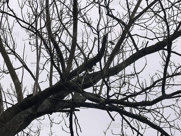 ֲ����Ȼ�羰������д�ϼ�