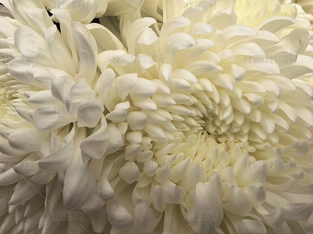 ֲ����Ȼ�羰������д�ϼ�