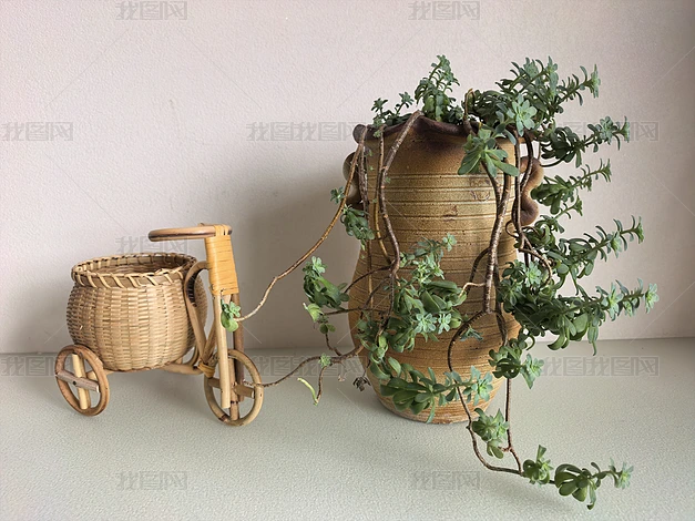 �ҾӰڼ���ֲ���ܸ���ʵ���ز�