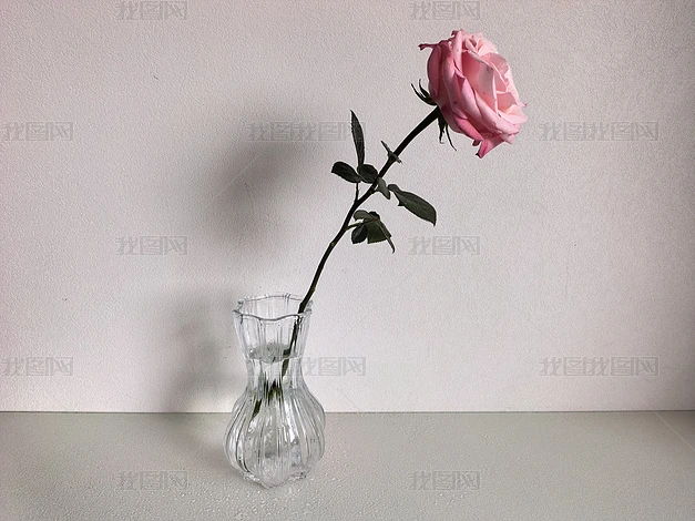 �ҾӰڼ���ֲ���ܸ���ʵ���ز�