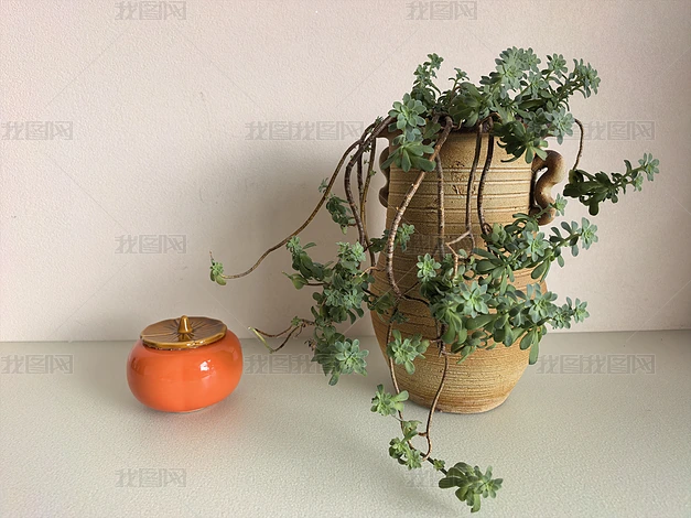 �ҾӰڼ���ֲ���ܸ���ʵ���ز�