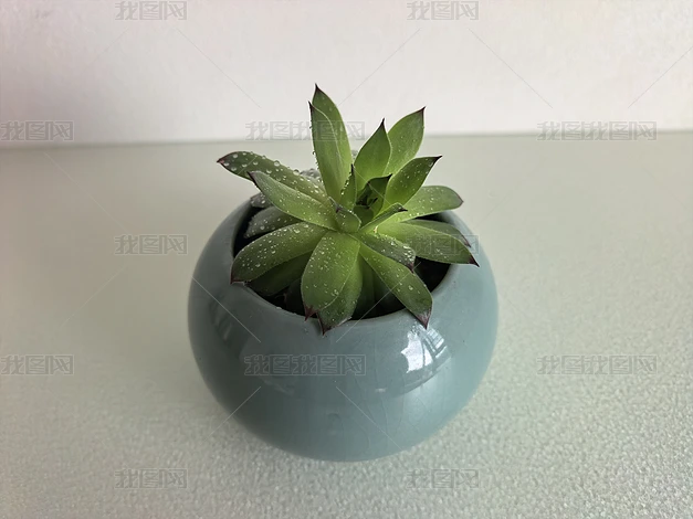 �ҾӰڼ���ֲ���ܸ���ʵ���ز�