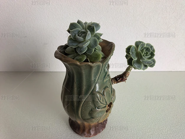 �ҾӰڼ���ֲ���ܸ���ʵ���ز�