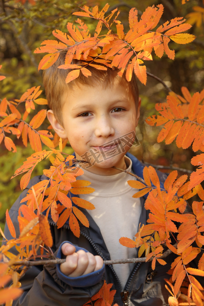 boy in a bright fall foliage park