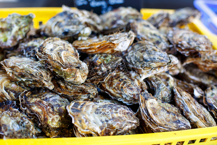 fresh oysters on mediterranean street market. 