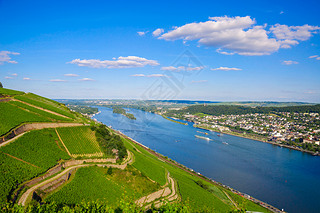 Vineyards and ruins near Rhine river, Bingen am Rhein, Rheinland