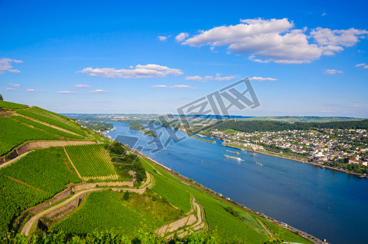 Vineyards and ruins near Rhine river, Bingen am Rhein, Rheinland