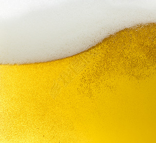 ơ beerfoam ơƱƽĭĭơƾƾơƲ pils