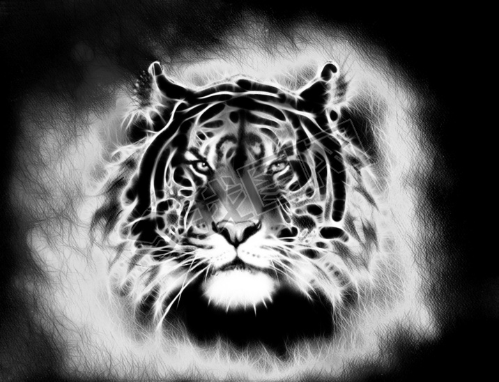 painting of a bright mighty tiger head on a soft toned abstract background eye contact. Black and wh