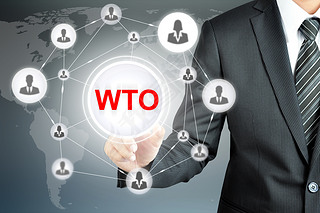 ָ Wto (ó֯) ־Ļϵ