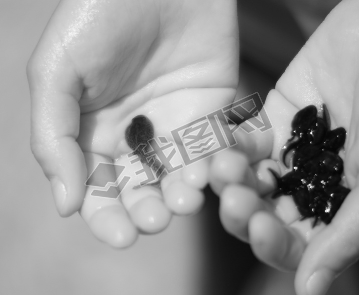 hand of child with many black tadpoles